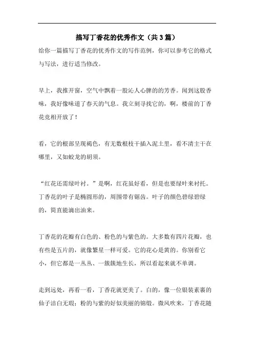 描写丁香花的优秀作文(共3篇)