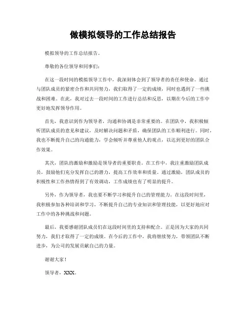 做模拟领导的工作总结报告