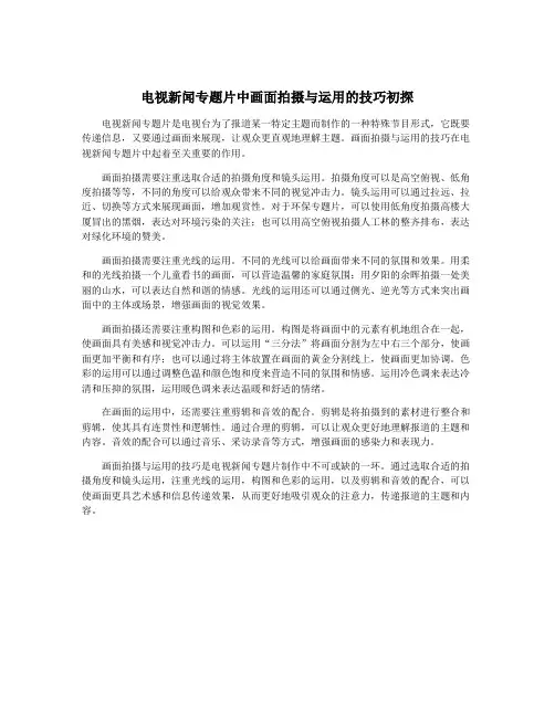 电视新闻专题片中画面拍摄与运用的技巧初探