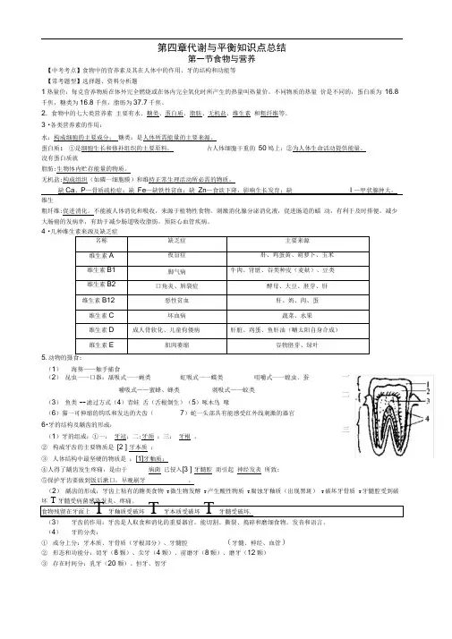(word完整版)九年级科学上册第四章代谢与平衡知识点总结,推荐文档