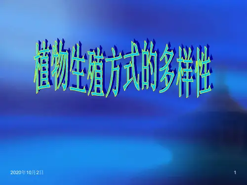 被子植物生殖PPT课件