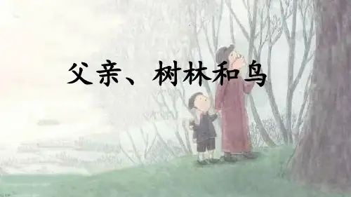 《父亲、树林和鸟》ppt课件