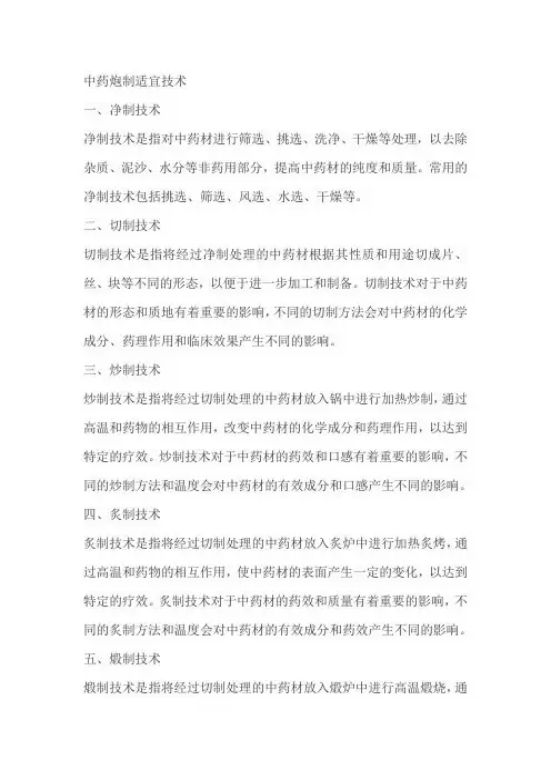 中药炮制适宜技术