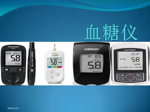 血糖仪PPT课件
