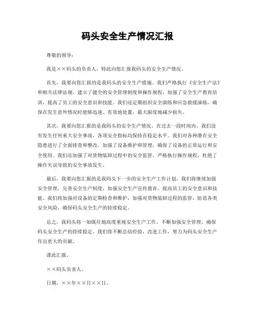 码头安全生产情况汇报