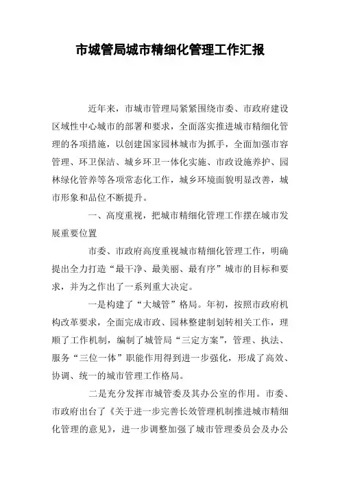 市城管局城市精细化管理工作汇报
