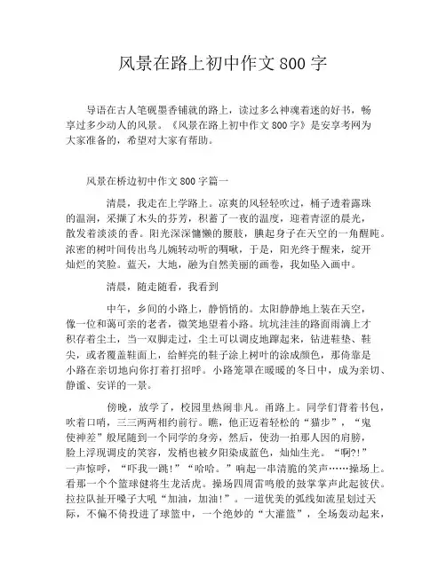 风景在路上初中作文800字