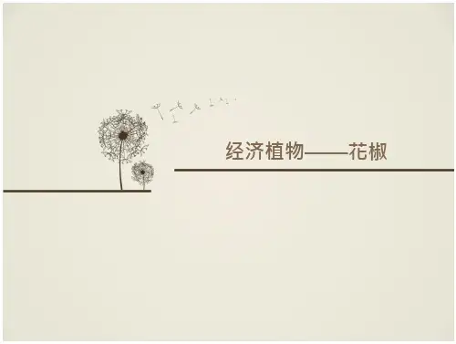 经济植物——花椒资料