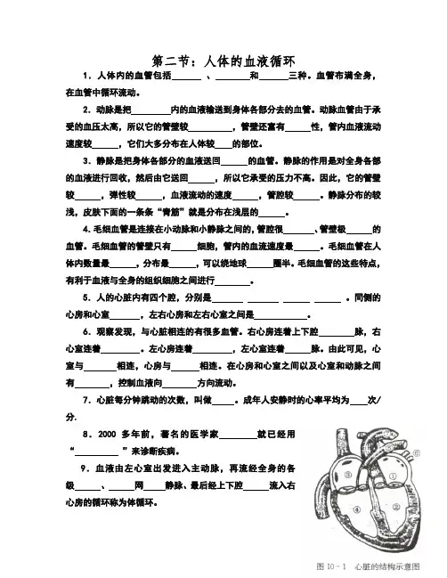 七年级下册 第二节人体的血液循环教学案