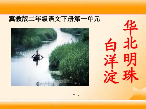 《华北明珠白洋淀》PPT课件