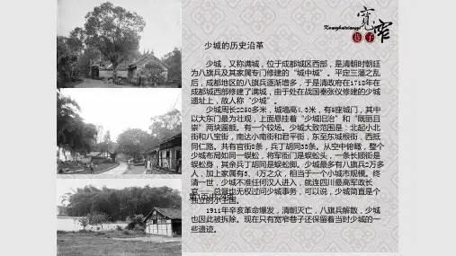 宽窄巷子历史文化保护区景观小品设计方案PPT课件