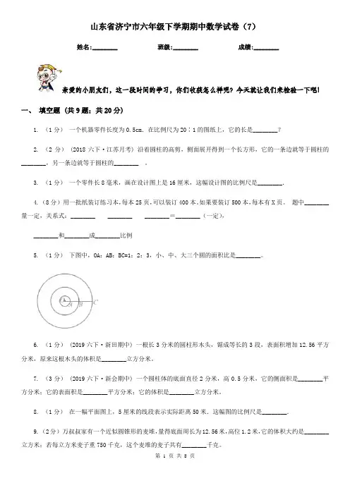 山东省济宁市六年级下学期期中数学试卷(7)