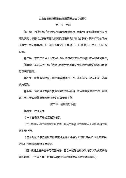 山东省能耗指标收储使用管理办法(试行)
