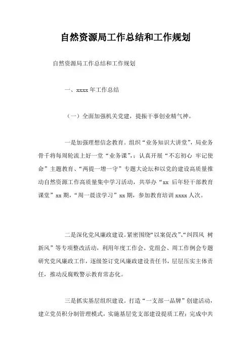 自然资源局工作总结和工作规划