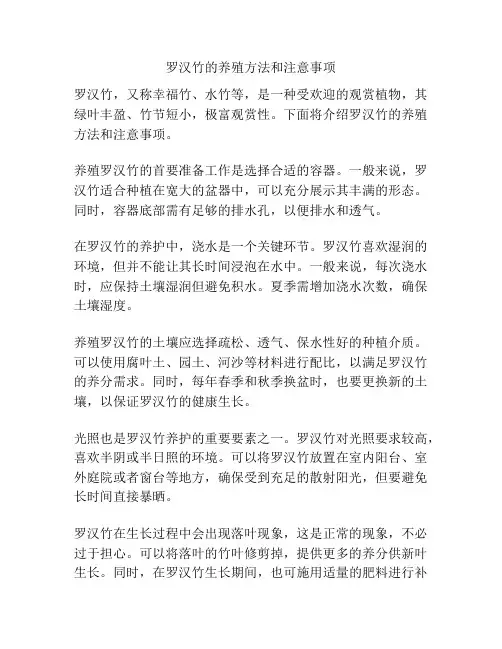 罗汉竹的养殖方法和注意事项