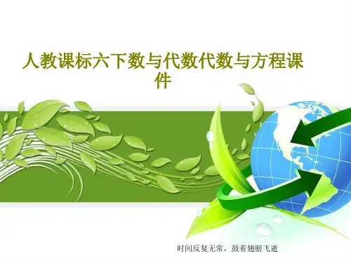 人教课标六下数与代数代数与方程课件共23页