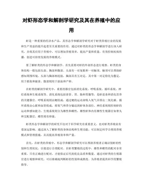 对虾形态学和解剖学研究及其在养殖中的应用