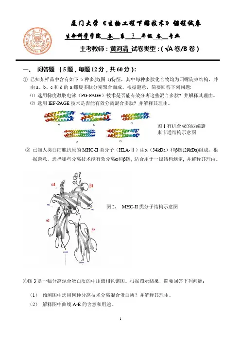 厦门大学2011年生物工程下游技术试卷