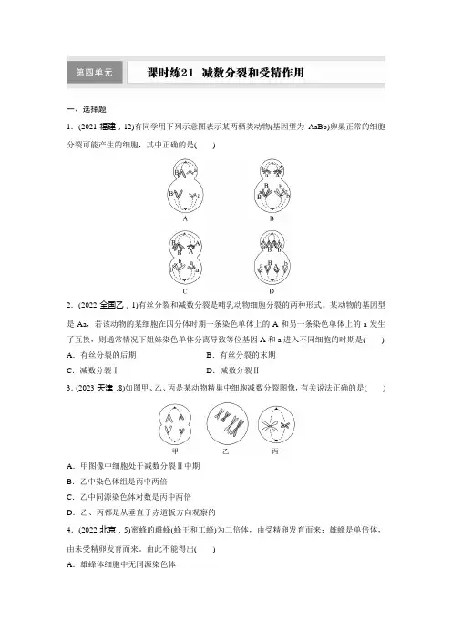 第四单元  课时练21  减数分裂和受精作用
