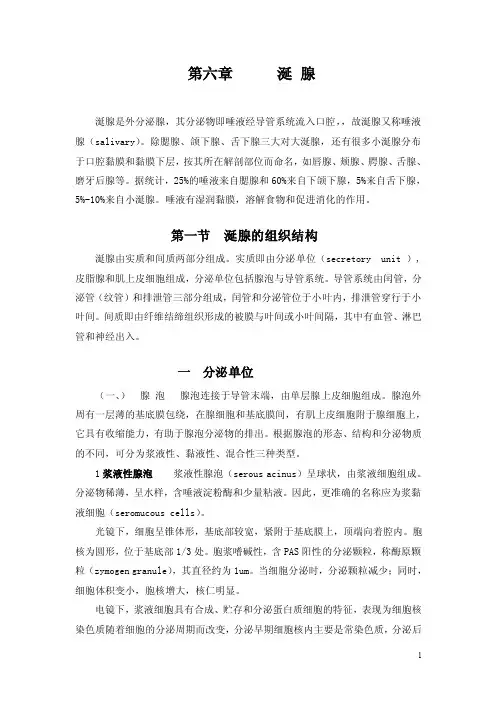 第一节涎腺的组织结构