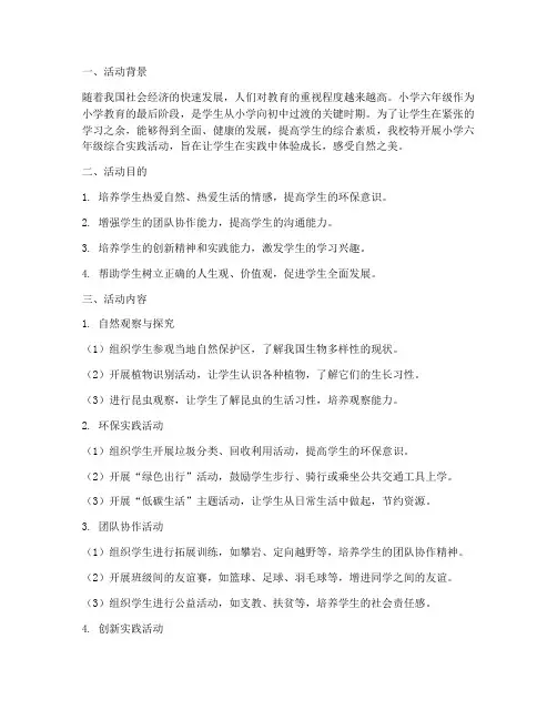 小学六年级综合实践活动