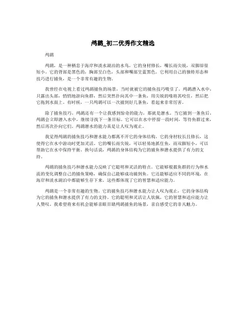 鸬鹚_初二优秀作文精选