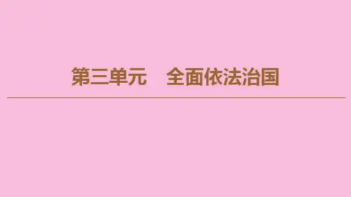 2019_2020学年新教材高中政治第3单元全面依法治国第8课法治中国建设第3框法治社会课件部编版第三册