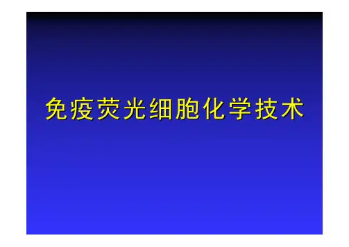 免疫荧光化学技术