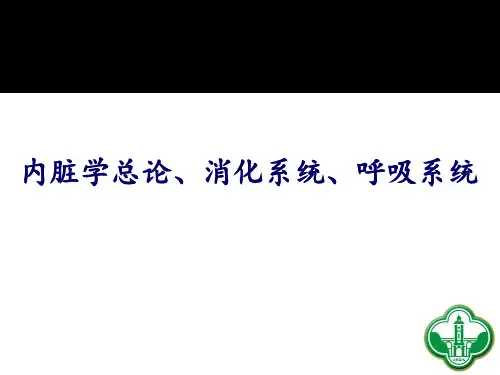 【人体解剖学PPT课件】内脏学总论、消化系统、呼吸系统