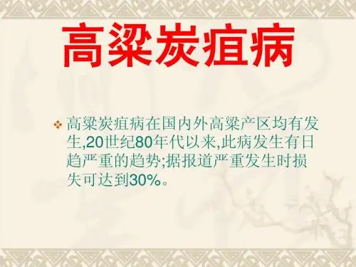 高粱炭疽病