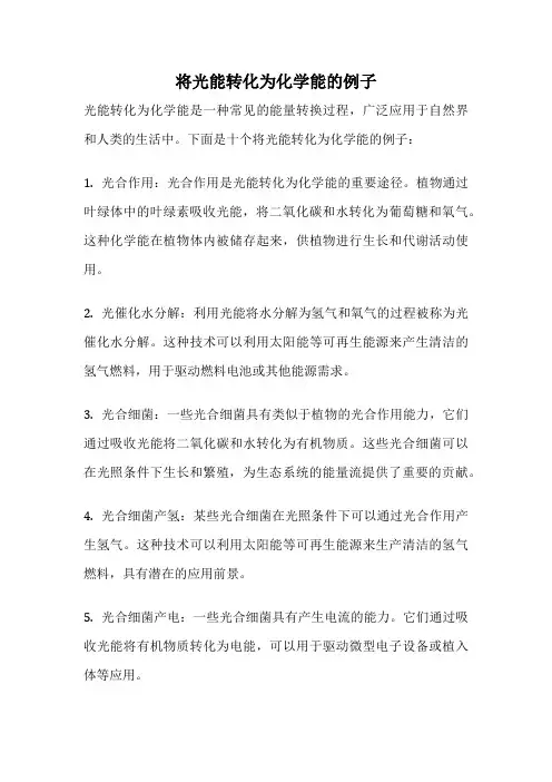 将光能转化为化学能的例子