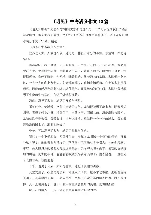 《遇见》中考满分作文10篇