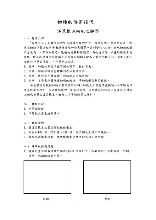洋葱根尖细胞之观察