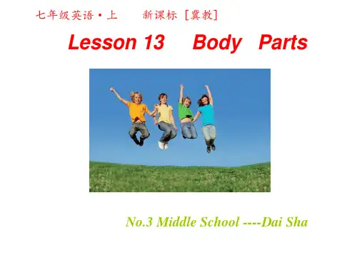 冀教版七年级英语上册 Unit 3 Lesson 13 Body Parts(共24张PPT)