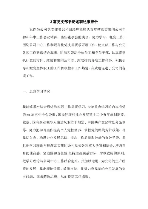 3篇党支部书记述职述廉报告.doc