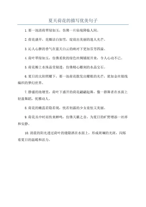 夏天荷花的描写优美句子