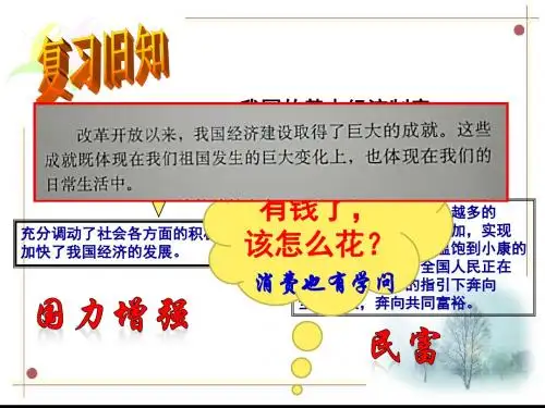 人教版九年级思想品德第七课第三框《学会合理消费》 (27张幻灯片)