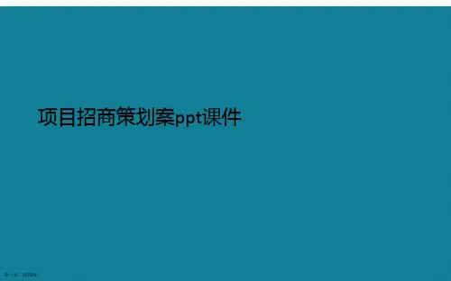 演示文稿项目招商策划案