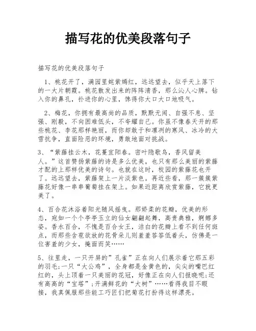 描写花的优美段落句子