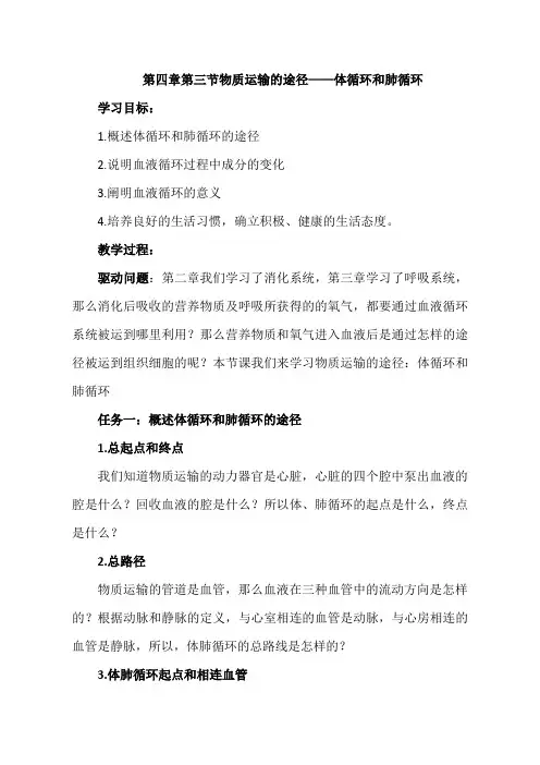 鲁科版(五四学制)生物七年级上册 4.4.3  运输的途径-体循环和肺循环 教案 