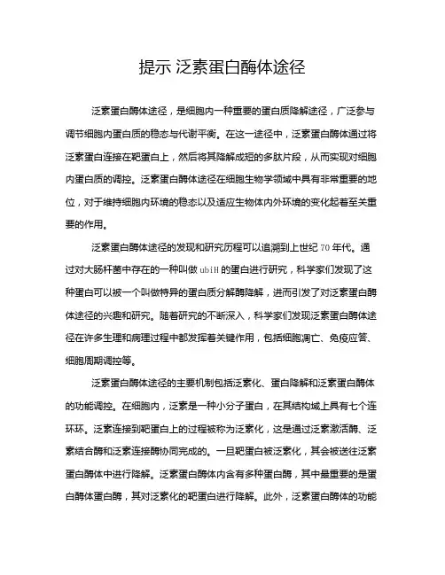 提示 泛素蛋白酶体途径