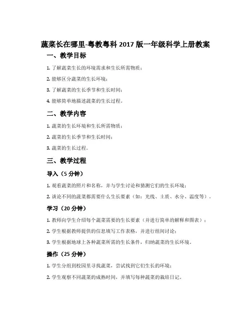 蔬菜长在哪里-粤教粤科2017版一年级科学上册教案