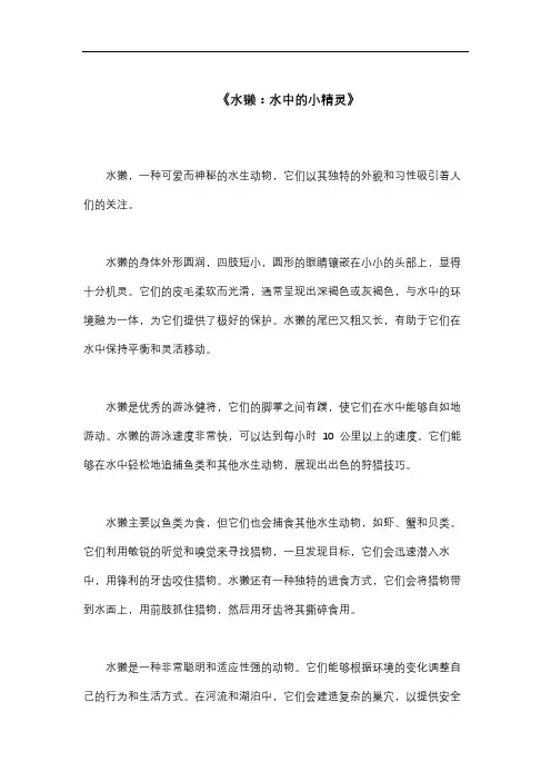 描写《水獭》的800字作文