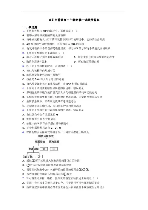 南阳市普通高中生物必修一试卷及答案