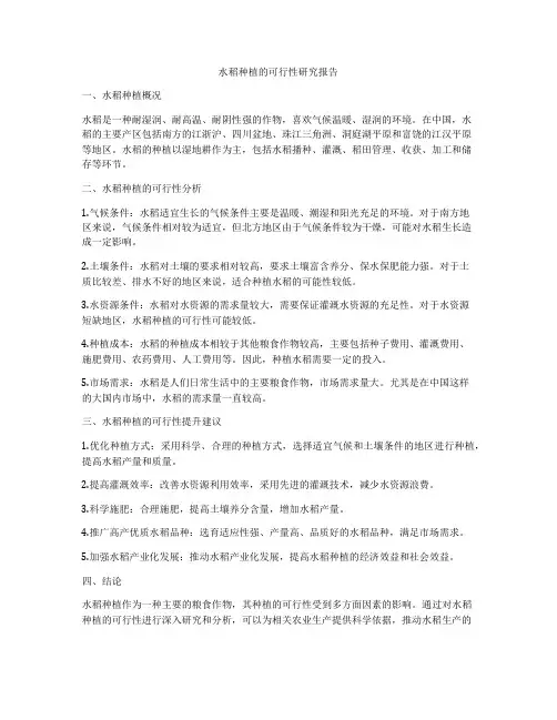 水稻种植的可行性研究报告