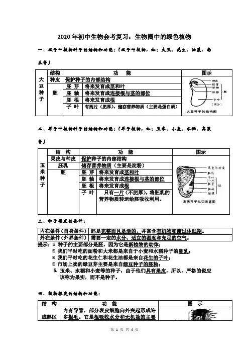 2020年初中生物会考复习：生物圈中的绿色植物