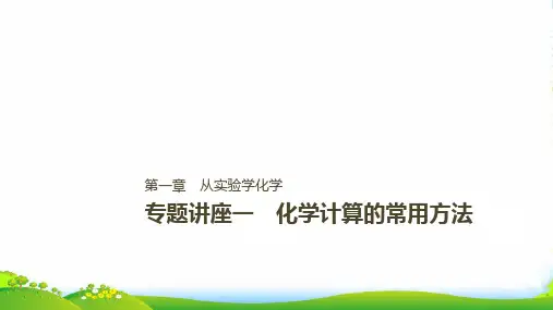 版步步高高中化学一轮复习课件：第一章 化学计量在实验中的应用 专题讲座一PPT25张