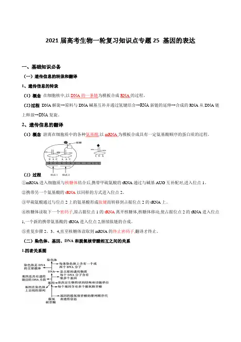 2021届高考生物一轮复习知识点专题25 基因的表达【含解析】
