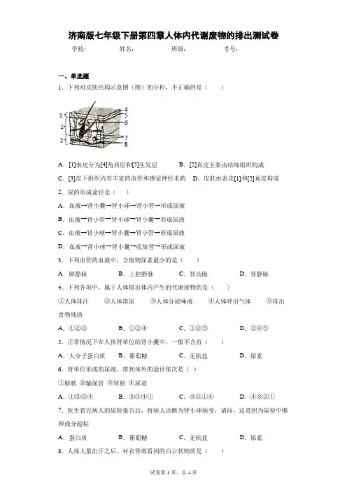 2020-2021学年济南版七年级下册第四章人体内代谢废物的排出测试卷(Word版 含答案)