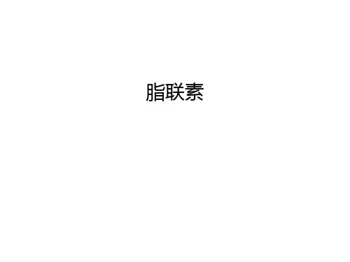 脂联素演示教学
